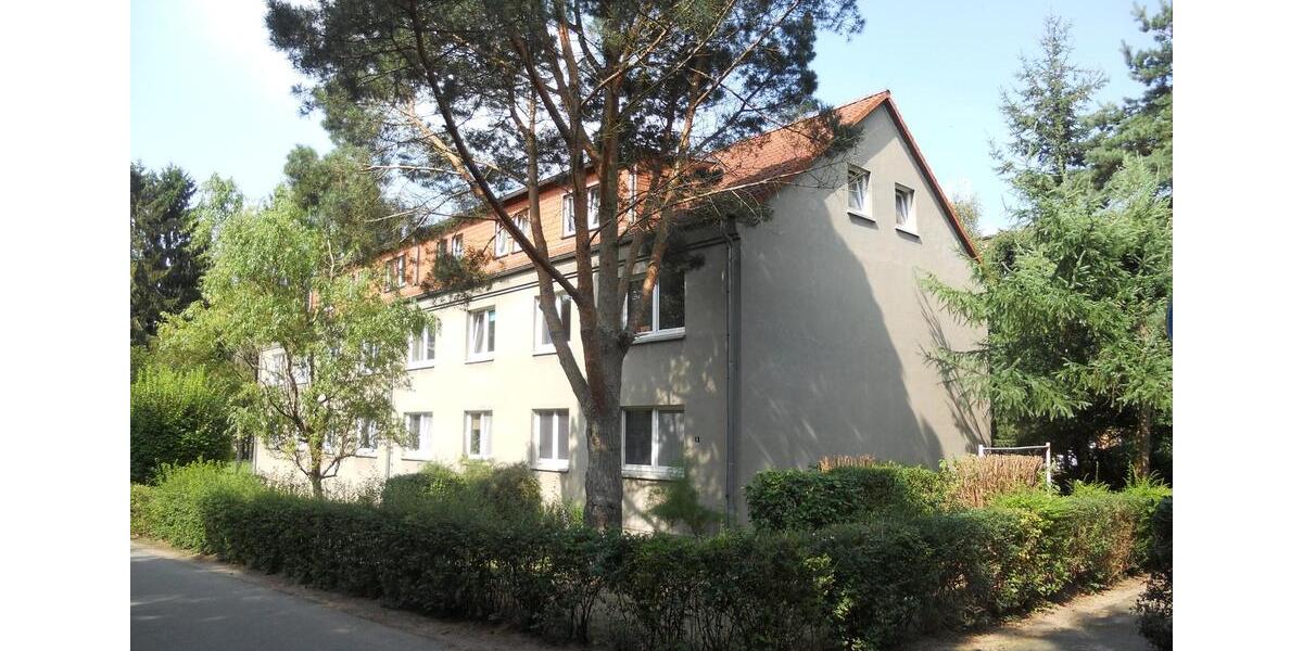 Erdgeschoßwohnung Greifswald Eldena - 3 Zimmer, 58 m&sup2;, 380&euro; | Angebot:26210777