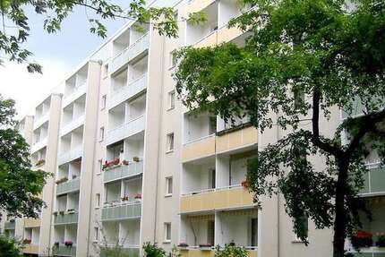 Wohnung Magdeburg Reform - 4 Zimmer, 65 m&sup2;, 375&euro; | Angebot:26671988