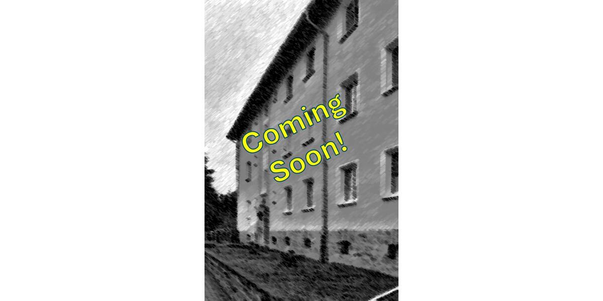 Etagenwohnung Schleiz - 2 Zimmer, 40 m&sup2;, 300&euro; | Angebot:25971342