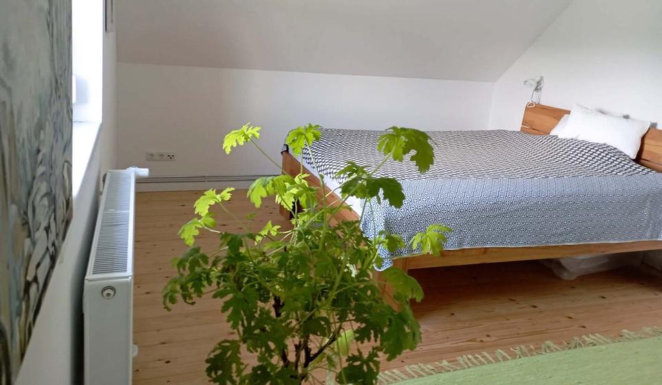 Doppelhaushälfte Pritzwalk - 3.5 Zimmer, 98 m&sup2;, 850&euro; | Angebot:25164608