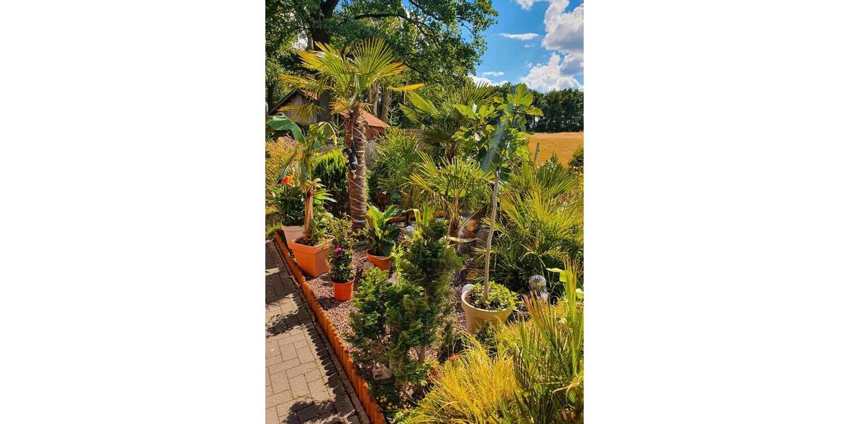 Etagenwohnung Borken - 1 Zimmer, 30 m&sup2;, 300&euro; | Angebot:24704143