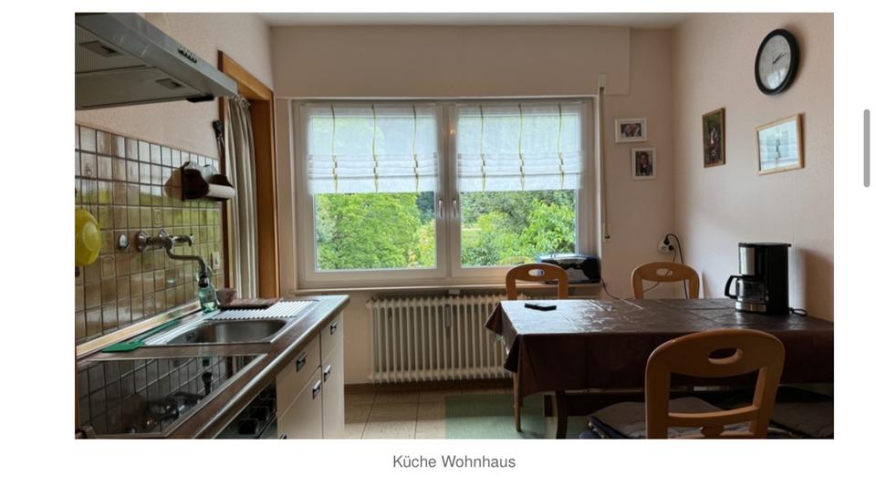 Etagenwohnung Müden (Mosel) - 4 Zimmer, 90 m&sup2;, 1.100&euro; | Angebot:25703215