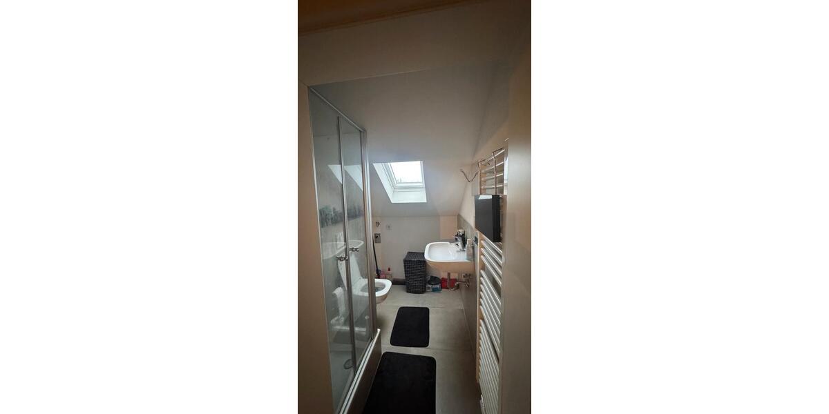 Dachgeschoßwohnung Offenbach am Main Hafen - 2 Zimmer, 50 m&sup2;, 1.100&euro; | Angebot:24691816