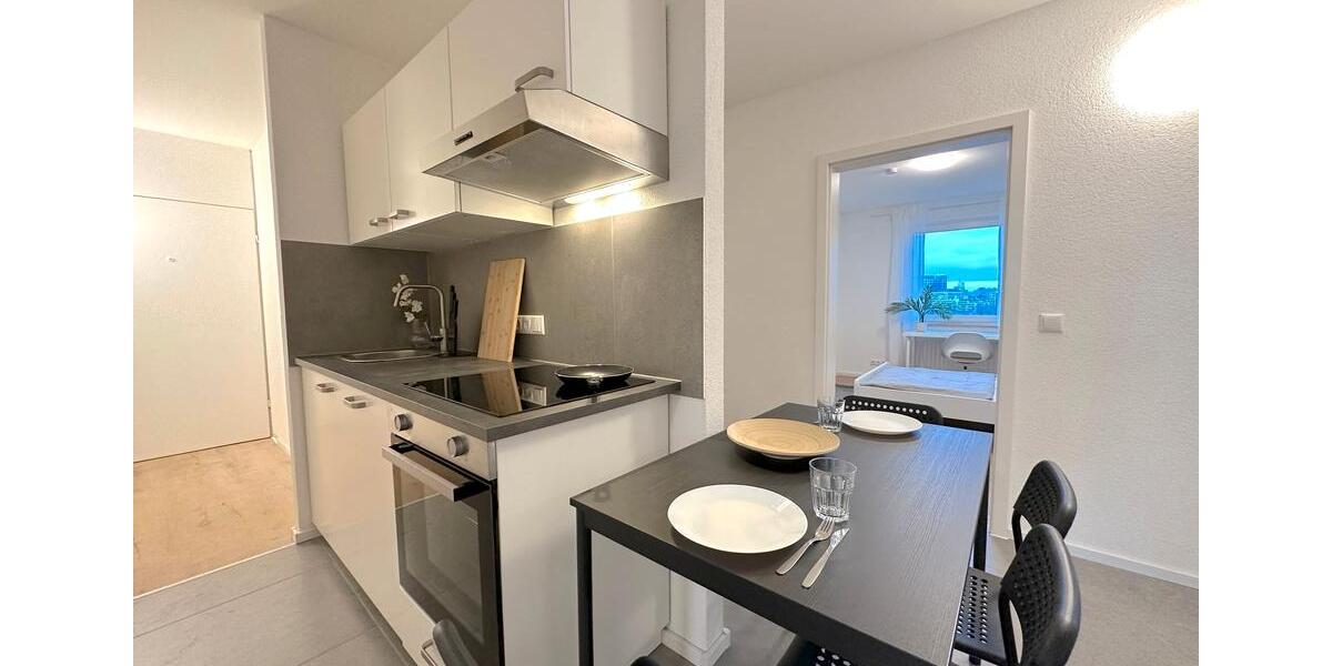 Etagenwohnung Frankfurt am Main Sossenheim - 1 Zimmer, 30 m&sup2;, 520&euro; | Angebot:26693072