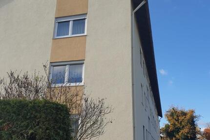 Schön renovierte 60qm 2-Zi. Whg., EG, 9qm Südbalkon, Stellplatz