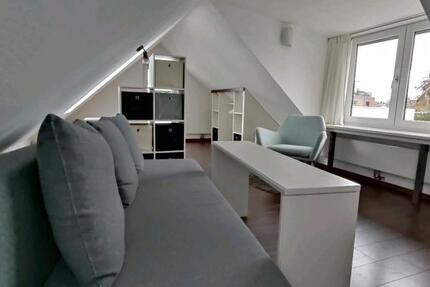 Möblierte, befristete 1 Zi. Wohnung im Tiny House Stil 1 zimmer
