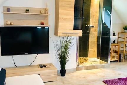 Wohnen auf Zeit Fahrenzhausen - 1 Zimmer, 21 m&sup2;, 810&euro; | Angebot:24638103