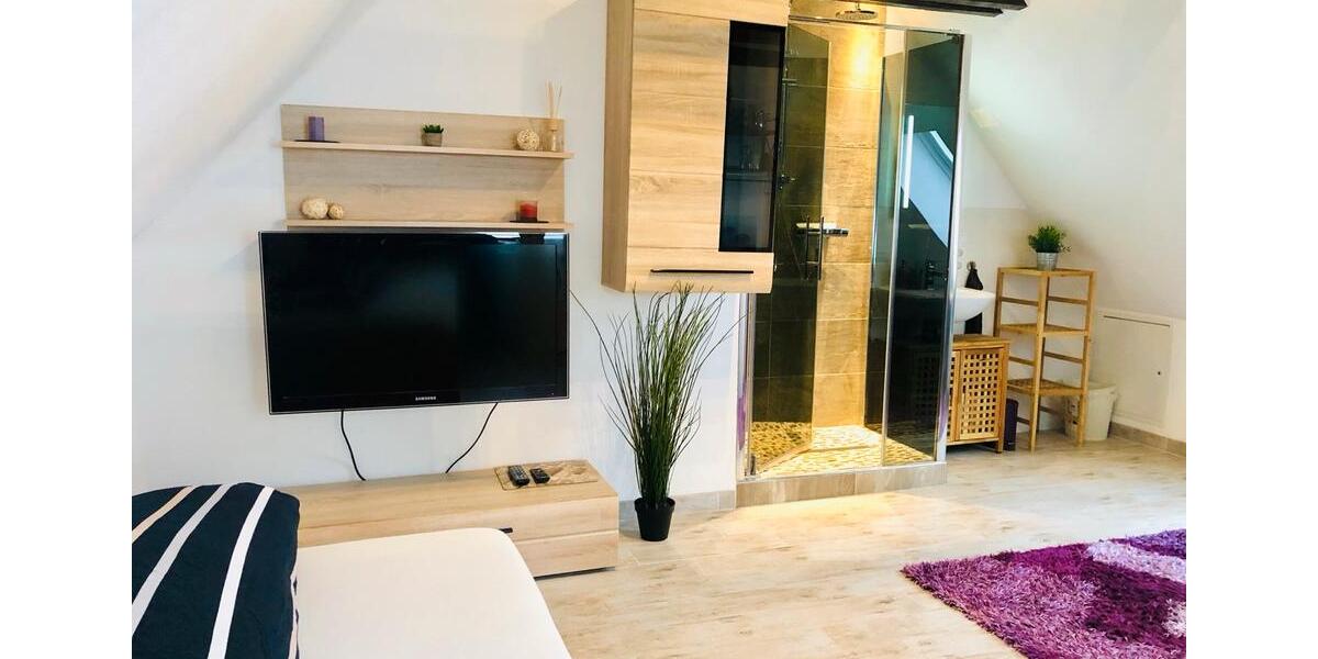 Wohnen auf Zeit Fahrenzhausen - 1 Zimmer, 21 m&sup2;, 810&euro; | Angebot:24638103