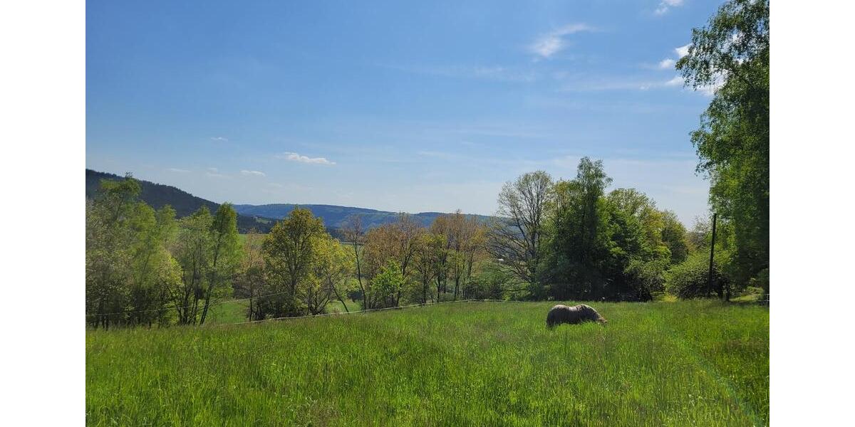 Etagenwohnung Pelm - 1 Zimmer, 16 m&sup2;, 450&euro; | Angebot:25323598