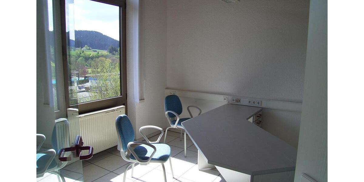 Gewerbeobjekt Titisee-Neustadt Neustadt - 1.700&euro; | Angebot:26126260