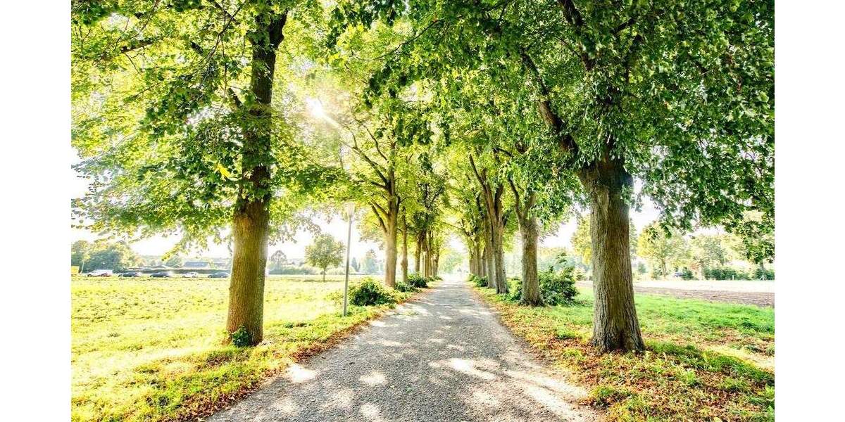 Gewerbeobjekt Krefeld Benrad-Süd - 7 Zimmer, 260 m&sup2;, 1.750&euro; | Angebot:25683381