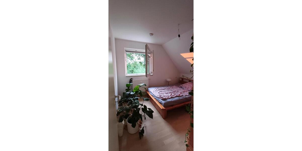 Dachgeschoßwohnung Wilsdruff - 2 Zimmer, 39 m&sup2;, 260&euro; | Angebot:25055061