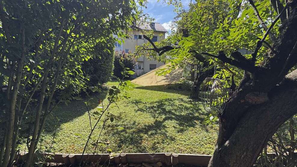 Wohnung zum Mieten in Wiesbaden 620 € 35 m²