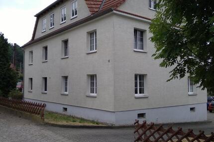 Sehr schöne 2-Raum-Wohnung mit Küche & direktem Blick auf die Elbe 2 zimmer