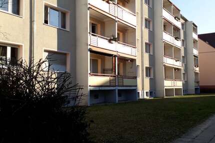 Wohnung zum Mieten in Cottbus 510 € 60 m² 3 zimmer