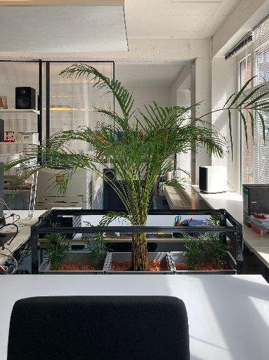 Gut ausgestatteter Arbeitsplatz in Bochum - All-in-Miete zimmer