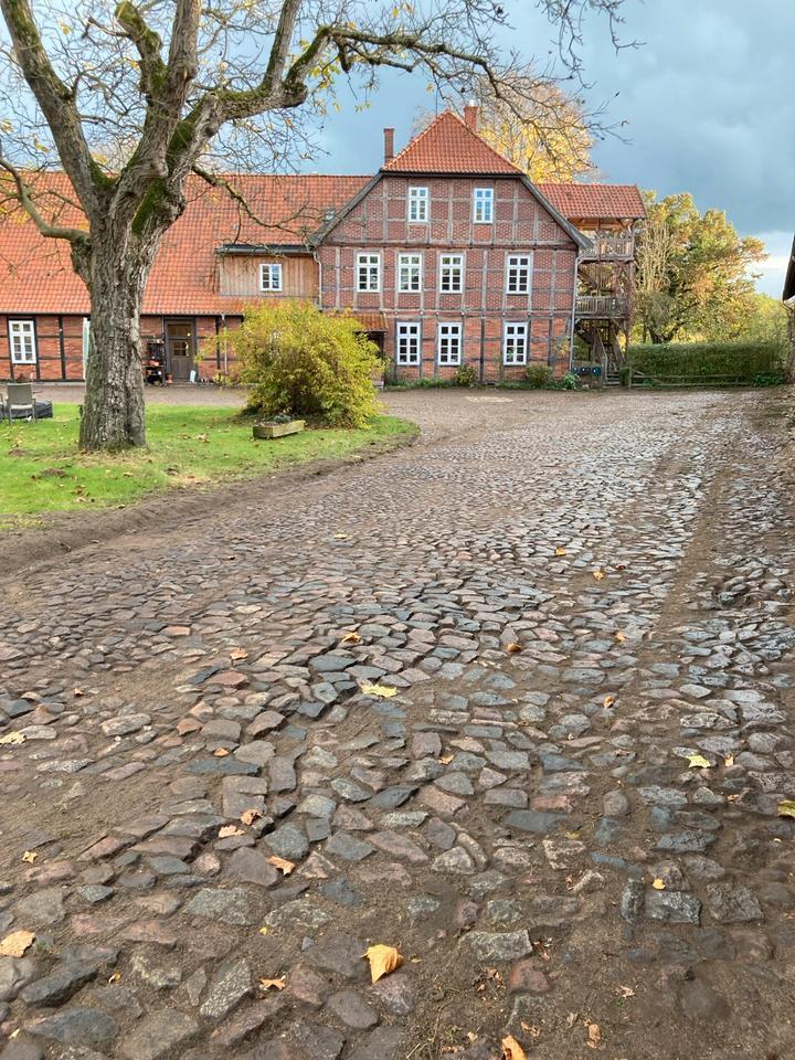 Schöne 1,5-Zi Altbau Wohnung, Lehmputz, Dielen, Garten
