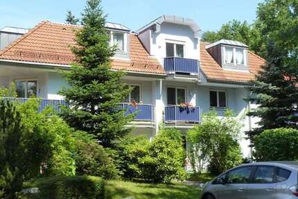 Wohnung zum Mieten in Friedewald 330 € 42.1 m²