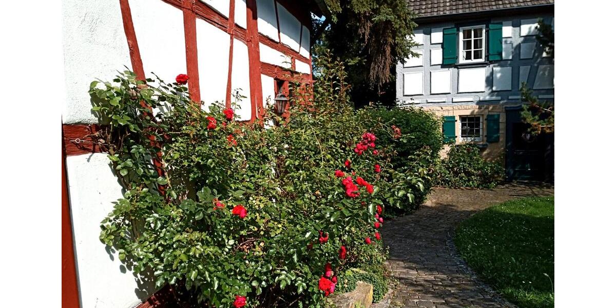 Erdgeschoßwohnung Iphofen - 3 Zimmer, 76 m&sup2;, 750&euro; | Angebot:26329491