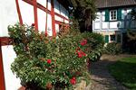 Erdgeschoßwohnung Iphofen - 3 Zimmer, 76 m&sup2;, 750&euro; | Angebot:26329491