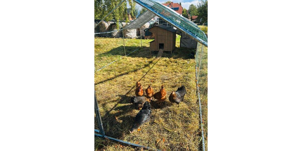 Erdgeschoßwohnung Fürstenberg - 12 Zimmer, 388 m&sup2;, 476&euro; | Angebot:21385884