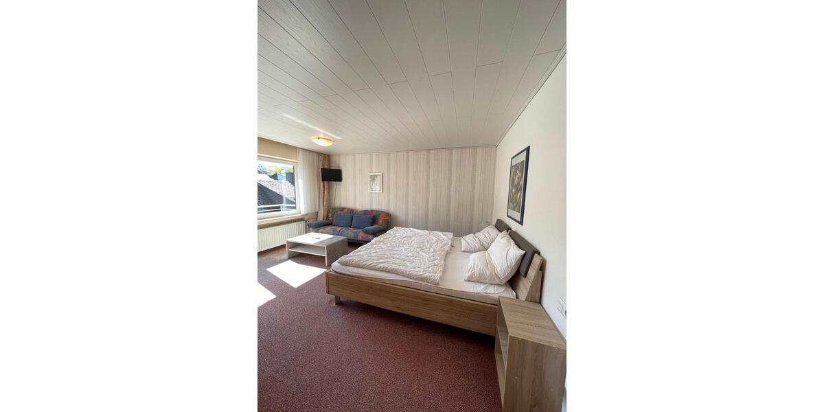 Wohnen auf Zeit Willingen (Upland) - 1 Zimmer, 20 m&sup2;, 450&euro; | Angebot:24625046