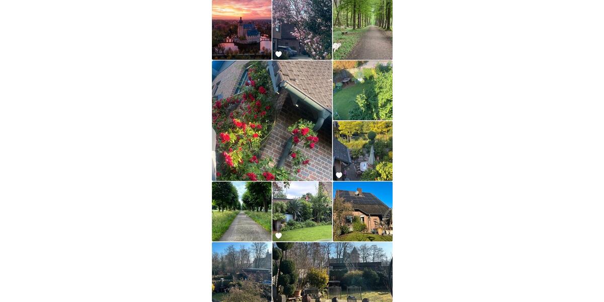 Einfamilienhaus Borken - 5 Zimmer, 145 m&sup2;, 1.300&euro; | Angebot:25172570