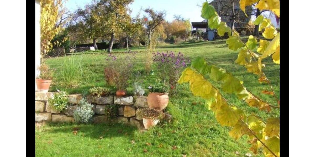Sonnige 4,5-Zimmer-Terrassenwohnung in Hochdorf - Appartement Hochdorf | Angebot:27007574