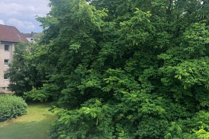 70 qm Wohnung mit Balkon, renoviert zu vermieten 6 zimmer