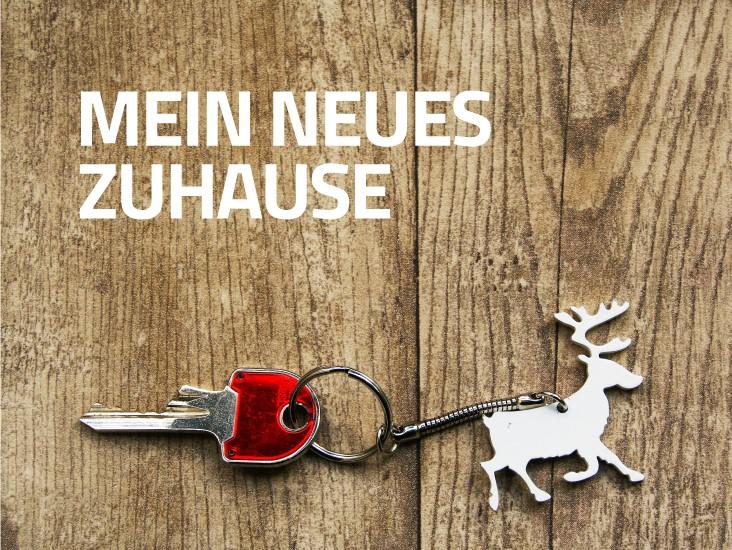Weihnachten in den neuen 4 Wänden - Hier können Sie es sich gemütlich machen. zimmer