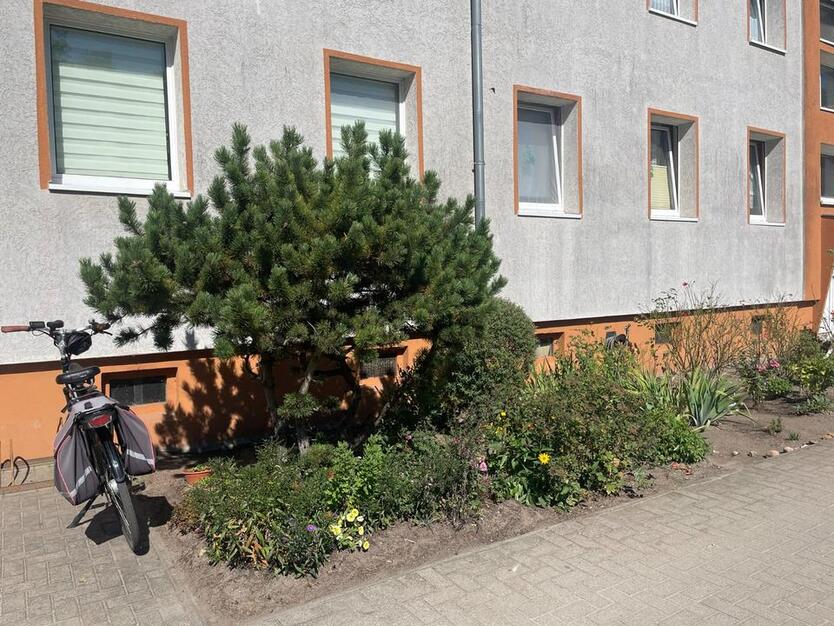 3 Zimmer, Küche, Duschbad - alles mit Fenster