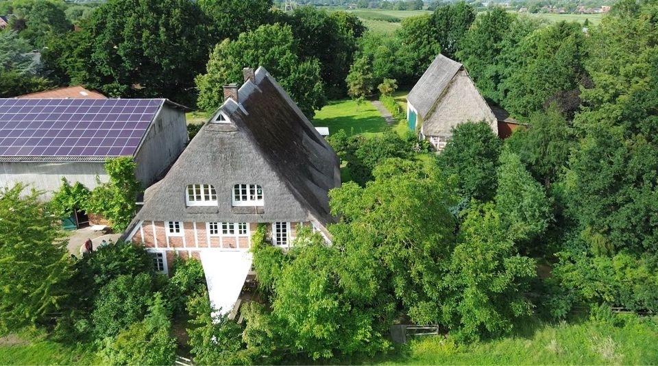 Erdgeschoßwohnung Stade Bützfleth - 5 Zimmer, 120 m&sup2;, 800&euro; | Angebot:24313816