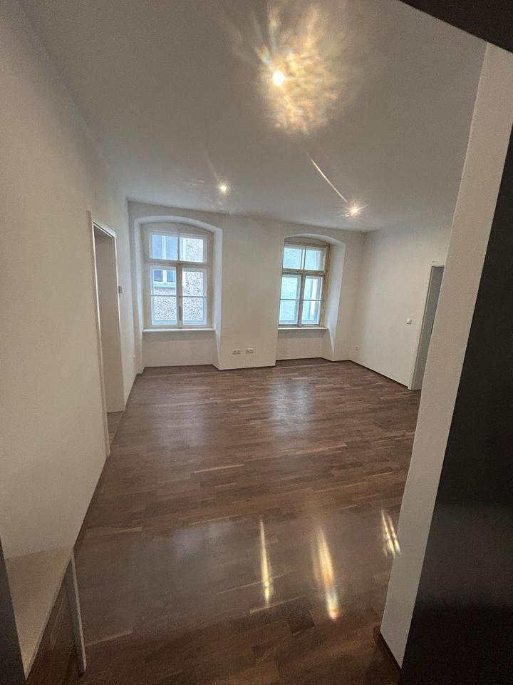 Tolle neu sanierte Wohnung WG Studenten 2 Zi. Innenstadt Paare