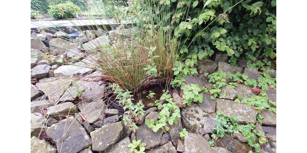 Etagenwohnung Holzminden - 2 Zimmer, 55 m&sup2;, 400&euro; | Angebot:26086561