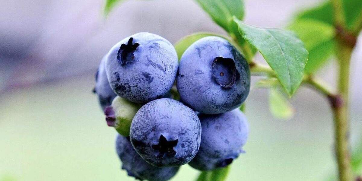 Etagenwohnung Oberkirch Tiergarten - 2 Zimmer, 48 m&sup2;, 410&euro; | Angebot:25531217