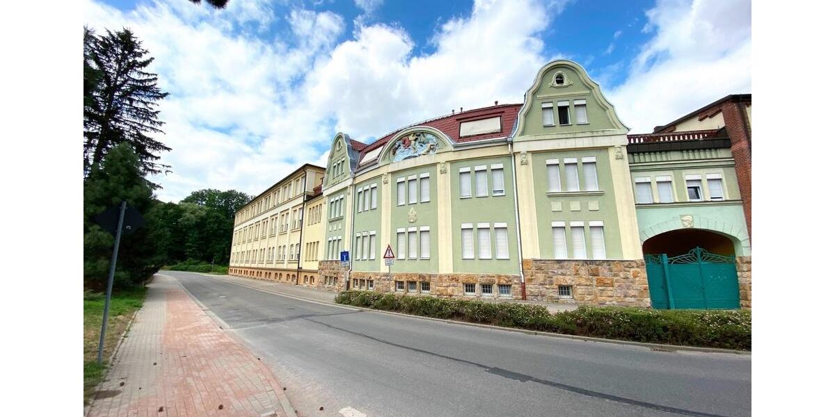 Etagenwohnung Hainichen - 2 Zimmer, 50 m&sup2;, 350&euro; | Angebot:26635359