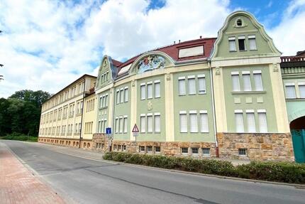 Wohnung Hainichen - 2 Zimmer, 50 m&sup2;, 350&euro; | Angebot:26635359