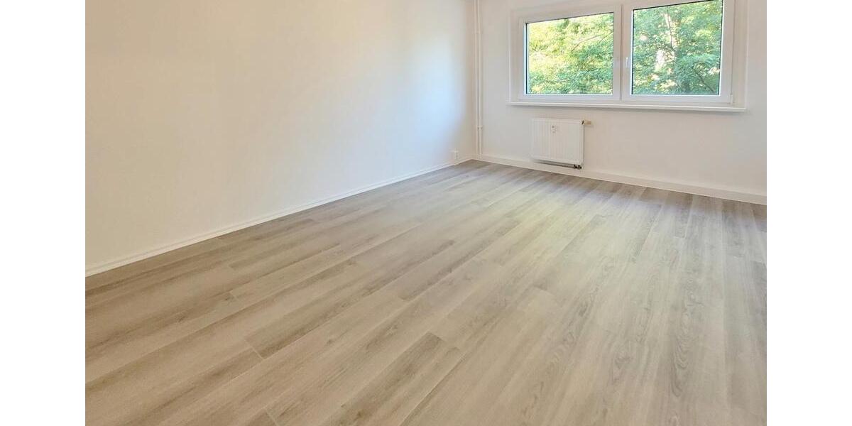 Erdgeschoßwohnung Colditz - 2 Zimmer, 48 m&sup2;, 224&euro; | Angebot:23819881