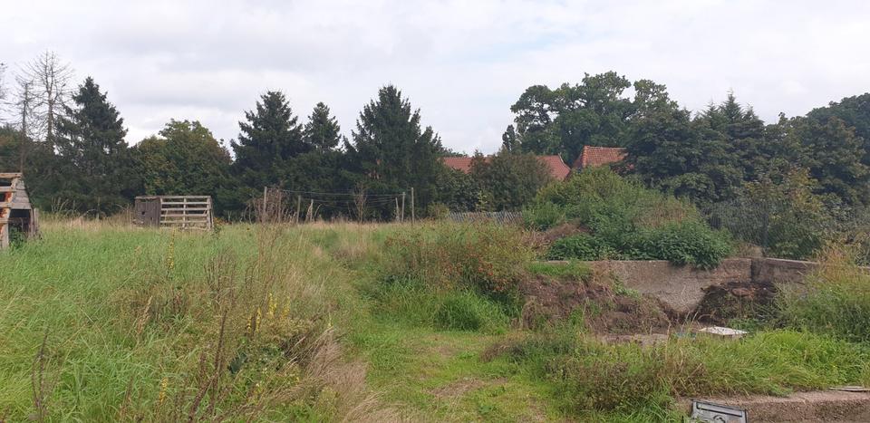 Gewerbeobjekt Kirchlinteln - 50&euro; | Angebot:24565665