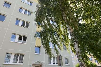 Wohnung Magdeburg Stadtfeld West - 3 Zimmer, 61 m&sup2;, 396&euro; | Angebot:26785274