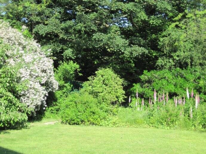 Etagenwohnung Hamburg Nienstedten - 5 Zimmer, 140 m&sup2;, 3.500&euro; | Angebot:26190642