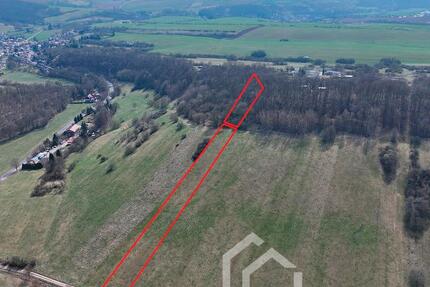 Kompakte Wald- und Grünlandfläche ca. 0,6 im nördlichen Gemeindegebiet von Sangerhausen zimmer