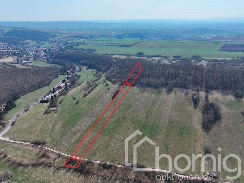 Kompakte Wald- und Grünlandfläche ca. 0,6 im nördlichen Gemeindegebiet von Sangerhausen zimmer