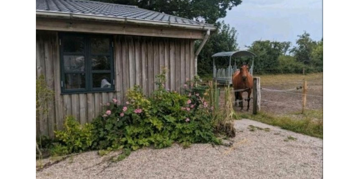Wohnung mit Terasse 5 zimmer