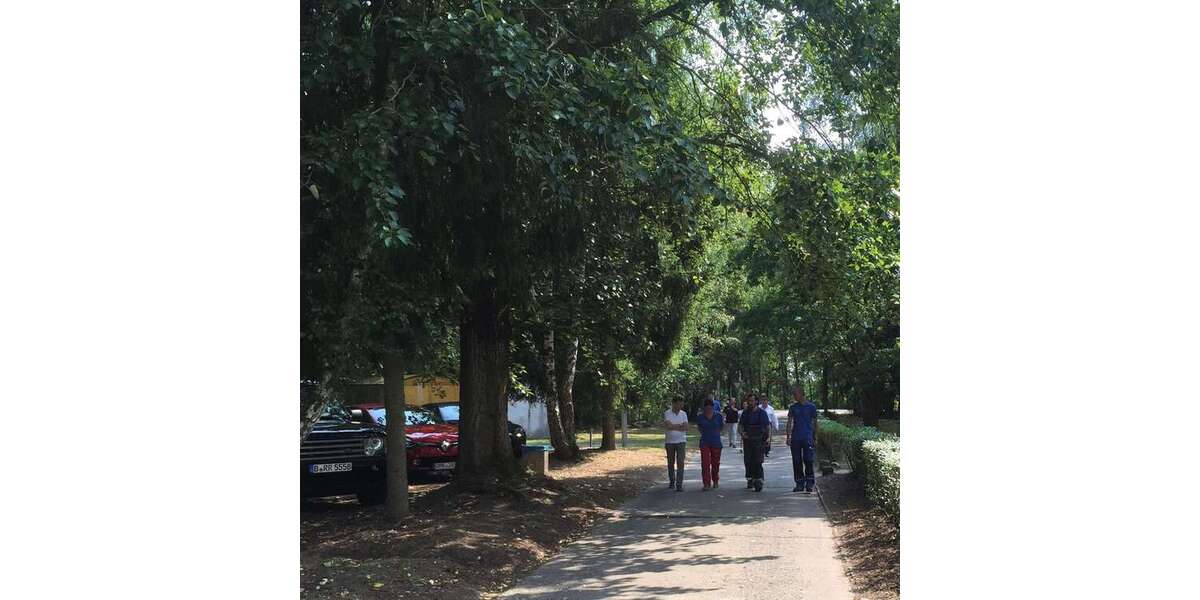 Helle, freundliche 3 Zimmer Wohnung mit EBK in der Waldsiedlung - Appartement Ziegendorf | Angebot:12503298