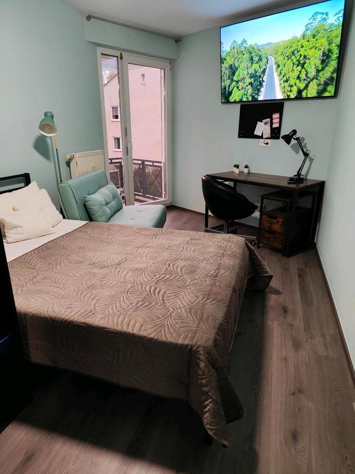 NEU! 1-Zi.-Appartment mit Balkon in Wiesbaden zimmer