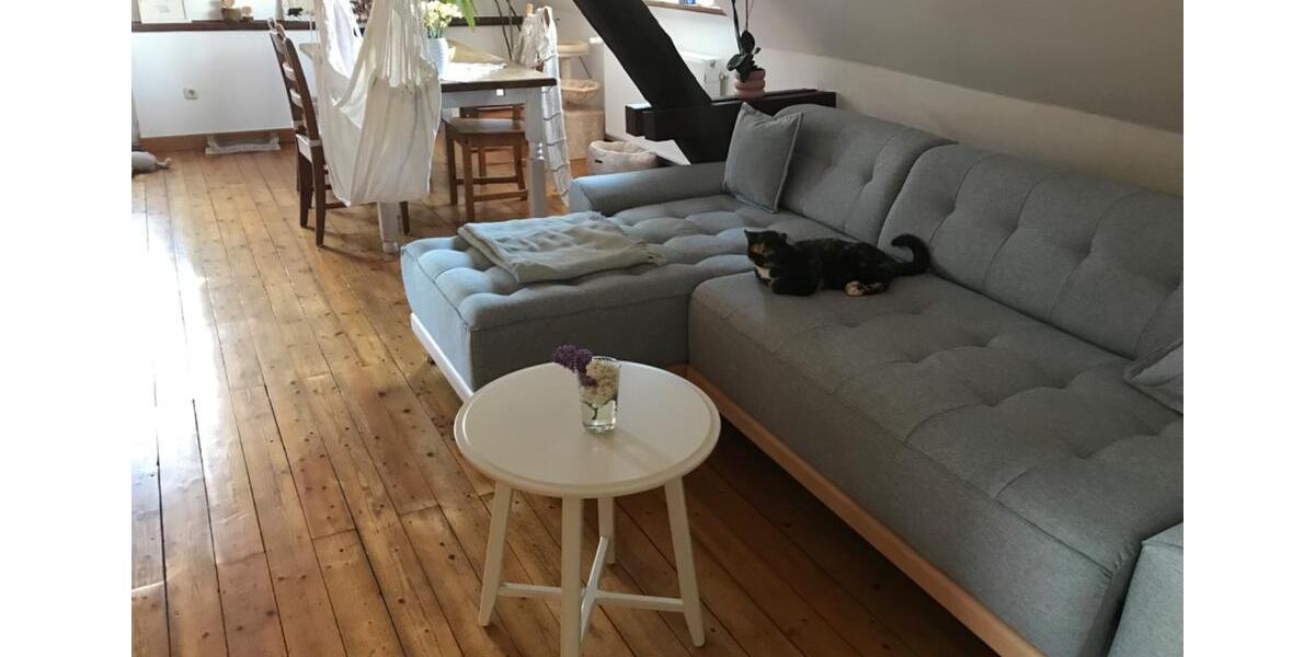 Wohnen auf Zeit Mommenheim - 1 Zimmer, 15 m&sup2;, 450&euro; | Angebot:26447185