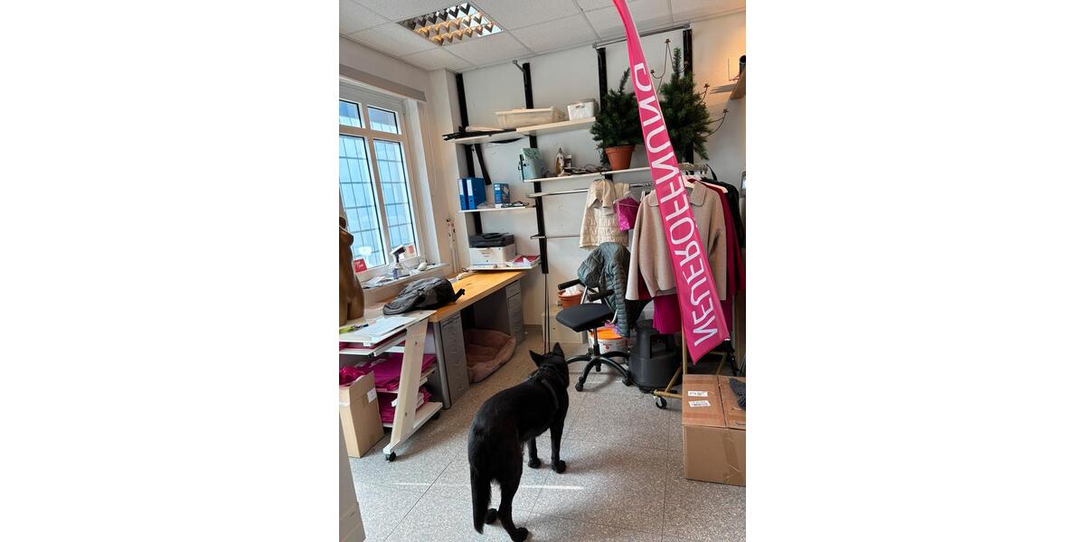 Gewerbeobjekt Schwanewede - 1.391&euro; | Angebot:26355032