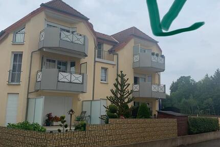 Helle 2-Zimmer-Dachgeschosswohnung in Bad Driburg 2 zimmer