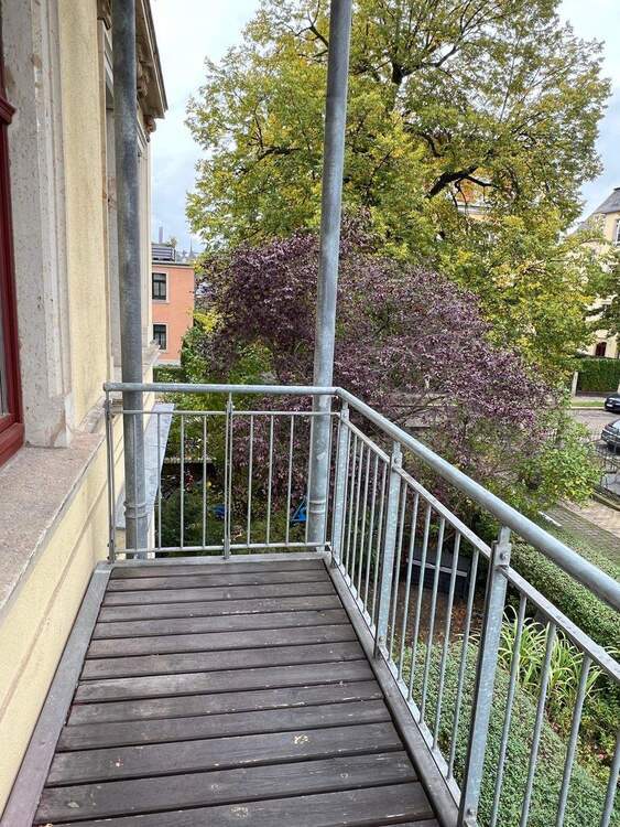 Gemütliche Wohnung im sanierten Altbau mitten in Striesen 2 zimmer